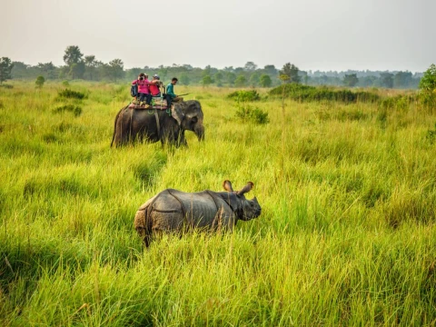 Kathmandu Pokhara Lumbini Chitwan Tour