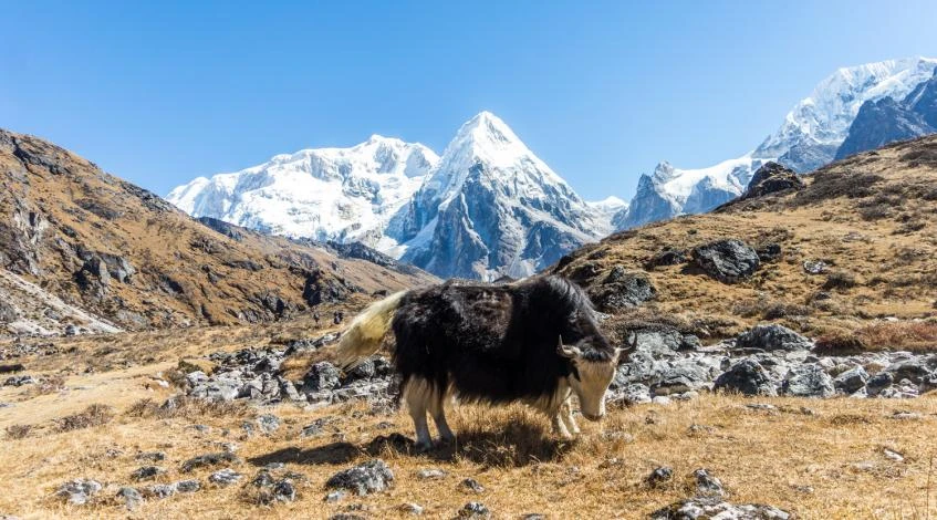 Manaslu Tsum Valley Trek